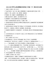 2024-2025学年山东省聊城市东阿县八年级（下）期末语文试卷（含详细答案解析）