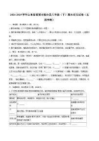 2024-2025学年山东省淄博市桓台县八年级（下）期末语文试卷（五四学制）（含详细答案解析）