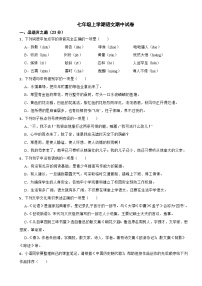 山东省临沂2025年七年级上学期语文期中试卷附答案
