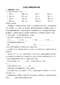 山东省枣庄2025年七年级上学期语文期中试卷附答案