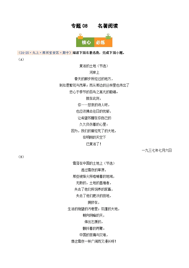 专题08 名著阅读(期中真题汇编,深圳专用)(原卷版)第1页