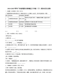 2024-2025学年广东省揭阳市榕城区八年级（下）期末语文试卷（含详细答案解析）