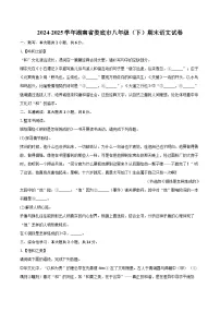 2024-2025学年湖南省娄底市八年级（下）期末语文试卷（含详细答案解析）