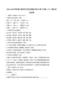 2024-2025学年四川省泸州市龙马潭区泸化中学八年级（下）期末语文试卷(含详细答案解析)