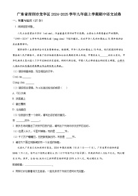 精品解析：广东省深圳市龙华区2024-2025学年九年级上学期期中语文试题含答案