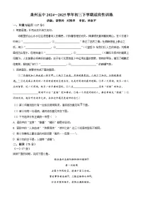 精品解析:2025年福建省泉州第五中学中考模拟语文试题 含答案
