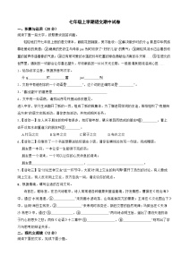 湖南省湘西州2025年七年级上学期语文期中试卷附答案