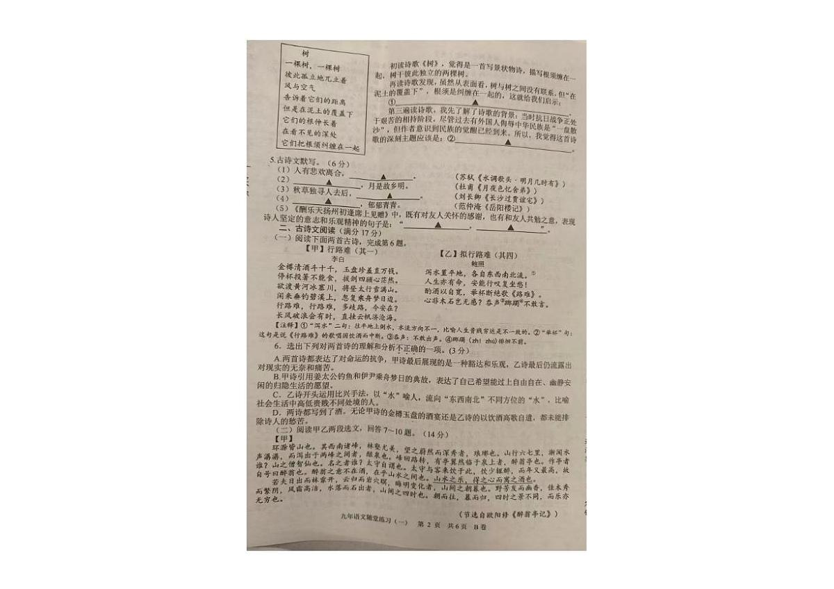 辽宁省沈阳市康平县2025-2026学年九年级上学期随堂练习语文试卷(一)(月考)第2页