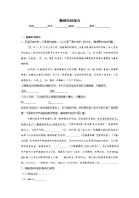 基础知识综合 期中复习  统编版语文八年级上册练习