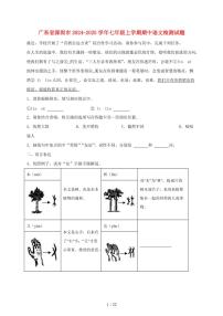 广东省深圳市2024~2025学年七年级上学期期中语文试题【带答案】
