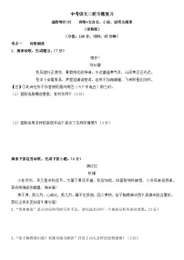 中考语文二轮专题复习 进阶特训03 诗歌 文言文 小 说 说明文阅读（含解析）