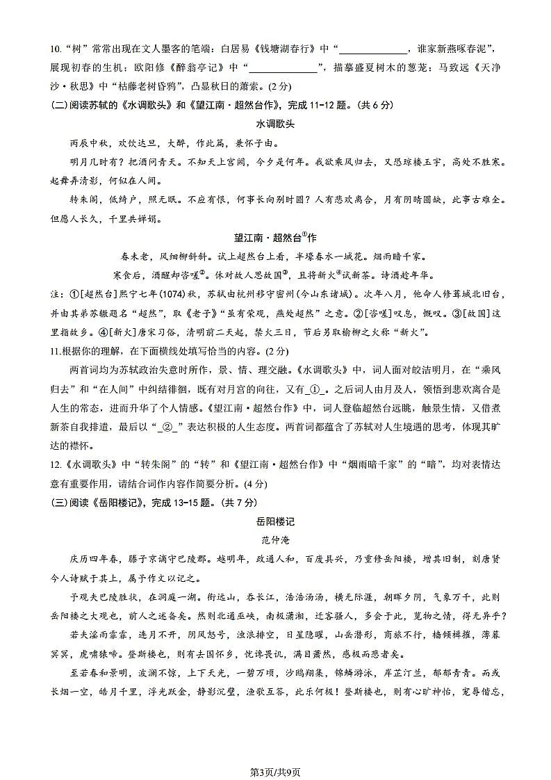 17508958第3页