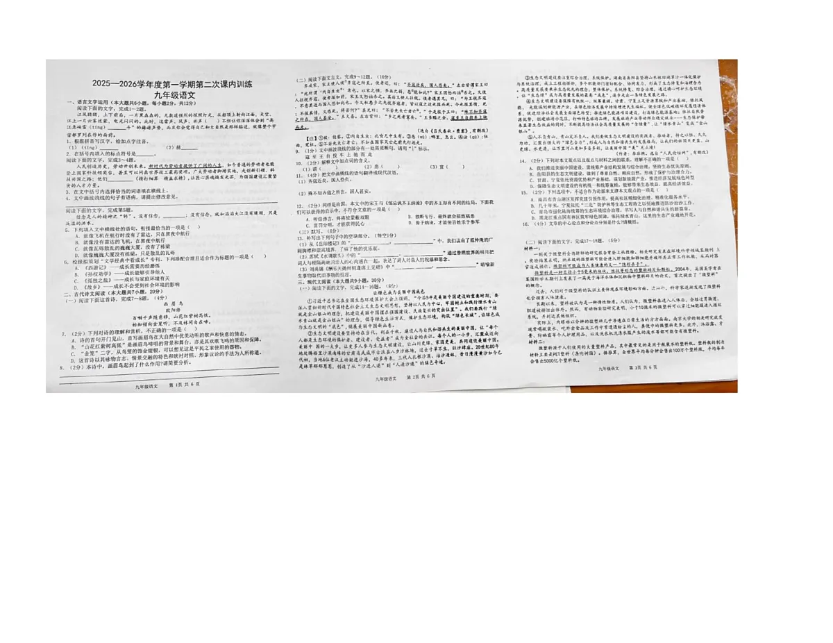 江西省赣州市南康区五中片区联考2025-2026学年九年级上学期10月月考语文试题第1页