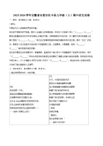 2025-2026学年安徽省合肥市长丰县九年级（上）期中语文试卷-自定义类型