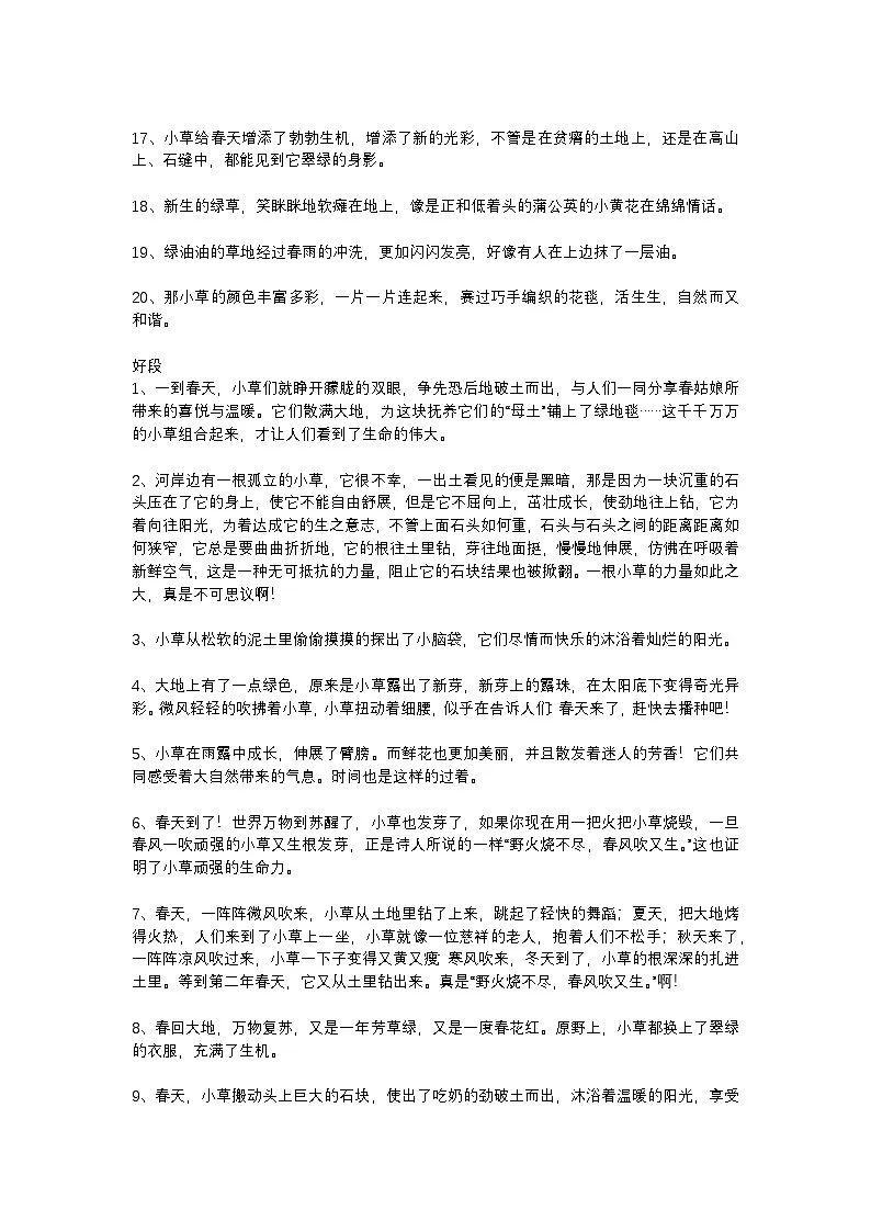 2025年初中语文中考专题复习学案:描写小草的作文素材第2页