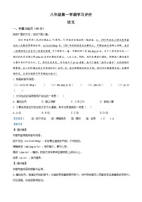 甘肃省武威第十二中学教育集团2025-2026学年八年级上学期期中语文试题（含答案及解析）