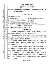 2025年上海市黄浦区初三上学期期中语文试卷含答案