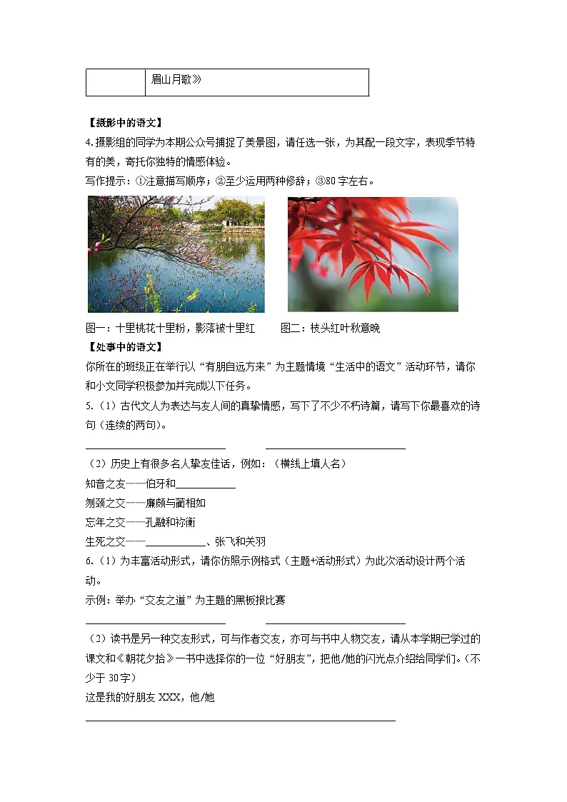河南省安阳市名校联考2024-2025学年七年级上学期期中语文语文试卷(学生版)第2页