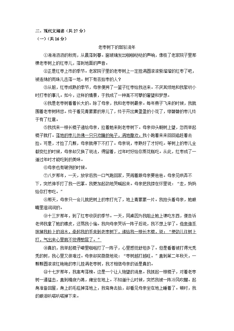 河南省安阳市名校联考2024-2025学年七年级上学期期中语文语文试卷(学生版)第3页