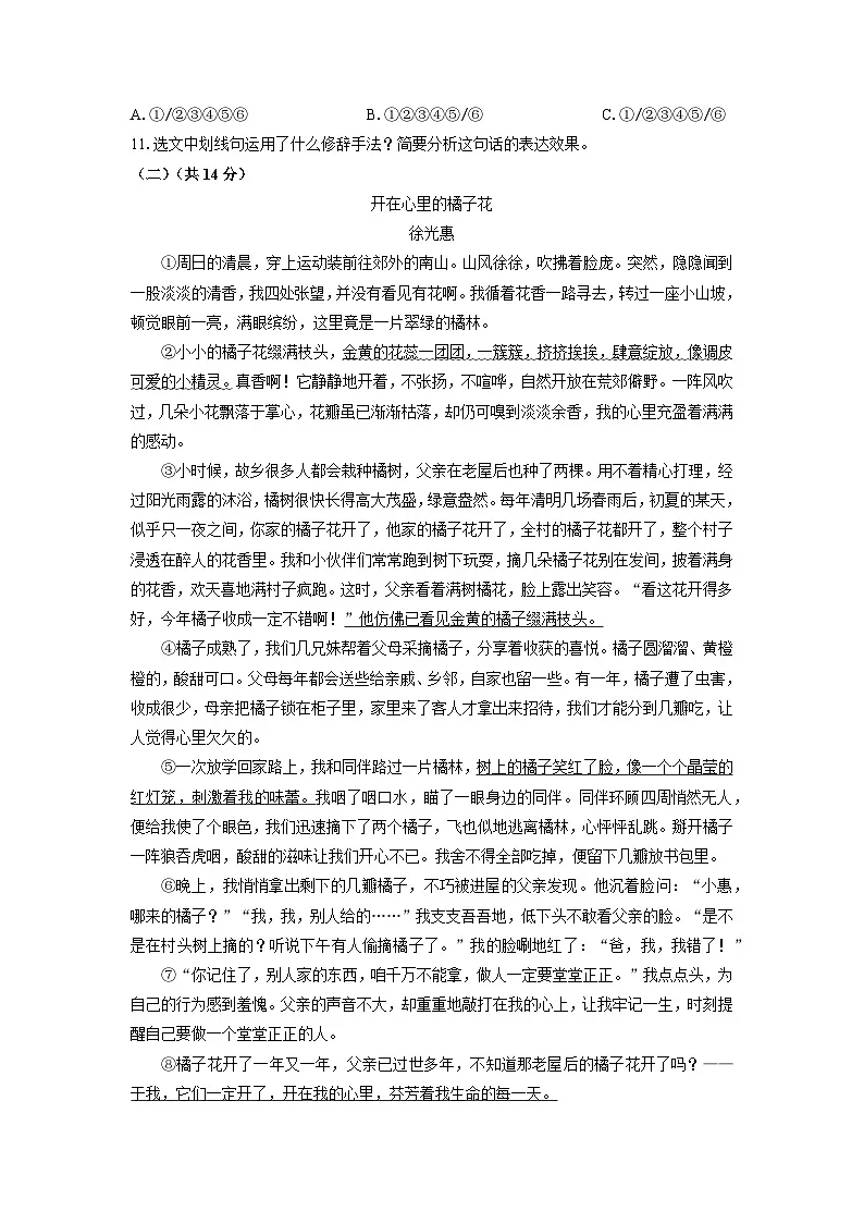 河南省三门峡市渑池县2024-2025学年七年级上学期期中语文语文试卷(学生版)第3页