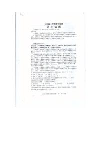 山东省泰安市新泰市2025-2026学年九年级上学期11月期中语文试题