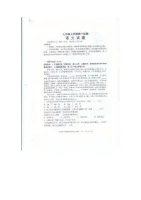 山东省泰安市新泰市2025-2026学年九年级上学期11月期中语文试题