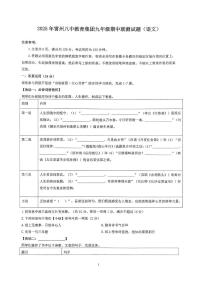 广东省湛江市雷州市八中教育集团2025-2026学年九年级上学期11月期中联考语文试题