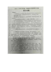 河南省洛阳市洛宁县2025-2026学年九年级上学期11月期中语文试题