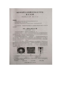 湖北省黄冈市部分学校2025-2026学年九年级上学期11月期中语文试题