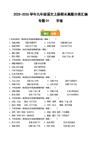九年级语文上册期末复习 专题01 字音（原卷+答案）真题分类汇编2025-2026学年 统编版
