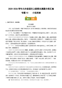 九年级语文上册期末复习 专题10 小说阅读（原卷+答案）真题分类汇编2025-2026学年 统编版