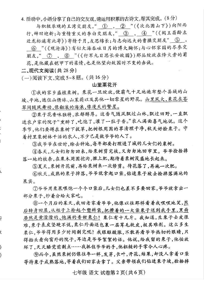 洛阳市伊滨区 2025-2026学年七年级上学期期中语文试卷及答案第2页