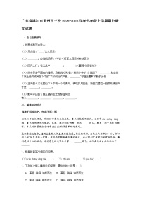 广东省湛江市雷州市三校2025-2026学年七年级上学期期中语文试题（含答案）