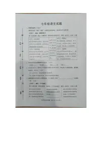 山东省淄博市周村区2025-2026学年七年级上学期期中考试语文试题
