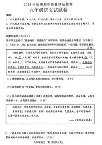 南阳市2025-2026学年九年级上学期期中考试语文试卷及答案