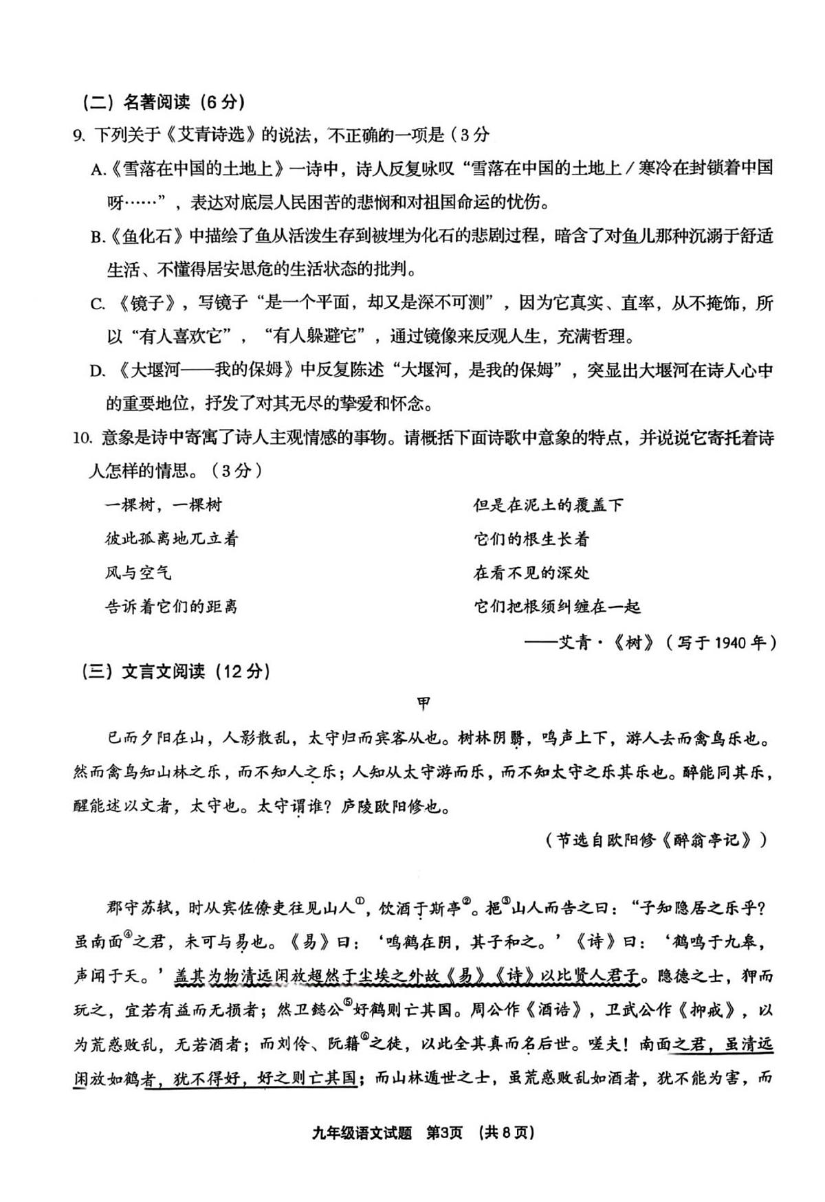 山东省青岛市胶州市2025-2026学年九年级上学期期中考试 语文试卷第3页