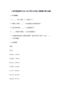 上海市浦东新区2025_2026学年七年级上册期中语文试题 [含答案]