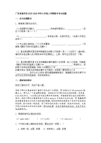 广东省惠州市2025-2026学年九年级上学期期中语文试题(含答案)