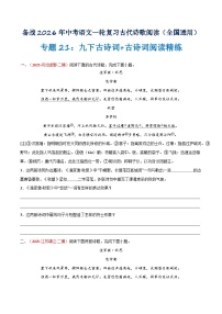 专题21：九下古诗词+古诗词阅读精练（练习）含答案2026年中考语文一轮复习之古诗文专题（全国通用）学案