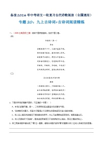 专题20：九上古诗词+古诗词阅读精练（练习）含答案2026年中考语文一轮复习之古诗文专题（全国通用）学案