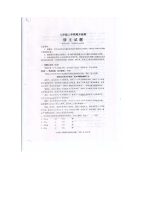 山东省泰安市新泰市2024-2025学年七年级上学期1月期末语文试题