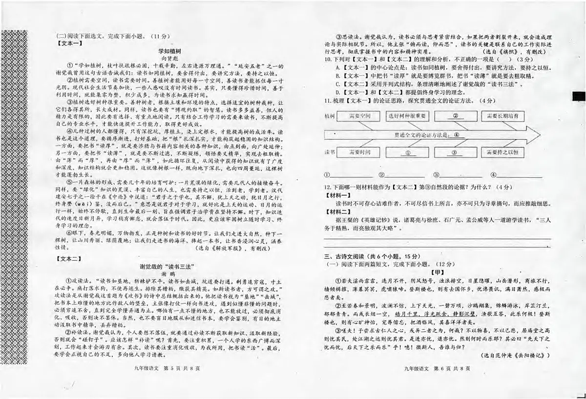 河南省信阳市平桥区2025-2026学年上期期中测试九年级语文试卷及答题卡第3页