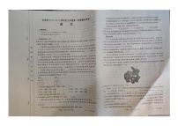 甘肃省白银市2024-2025学年九年级上学期期末语文试卷