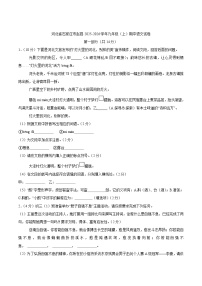 河北省石家庄市赵县2026届九年级上学期11月期中考试语文试卷