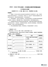 广东省惠州市惠阳区2024-2025学年九年级上学期1月期末考试语文试题