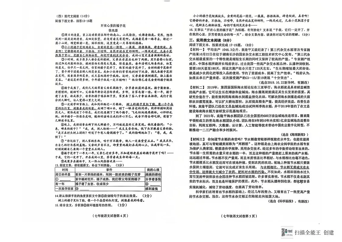 海南省省直辖县级行政单位临高县2024-2025学年七年级上学期1月期末考试语文试题第3页