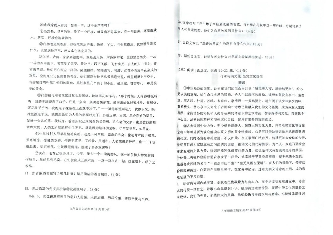 辽宁省阜新市太平区2024-2025学年九年级上学期1月期末语文试题第3页