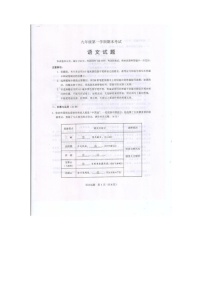 山东省泰安市新泰市2024-2025学年九年级上学期1月期末语文试题