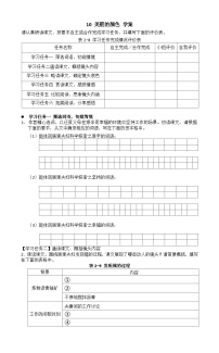 初中人教部编版（2024）10*美丽的颜色/艾芙·居里导学案及答案