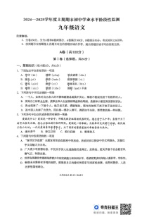 四川省成都市成华区2024-2025学年九年级上学期期末检测语文试题